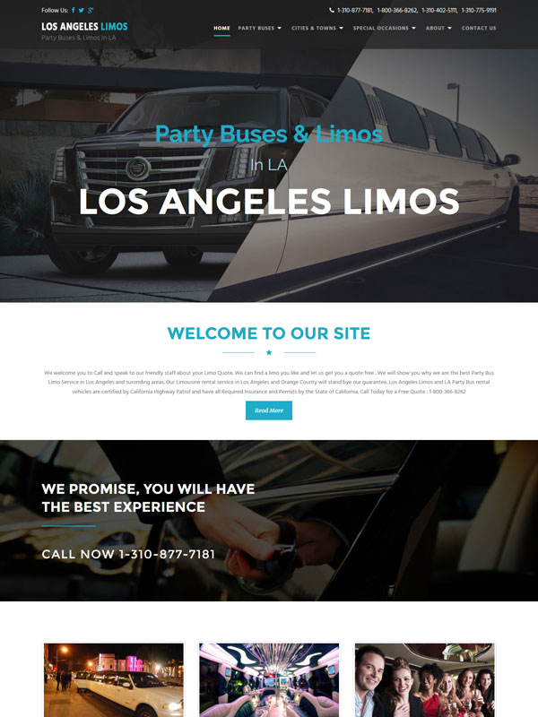 Web development services